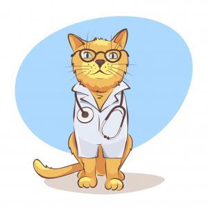 Mobiler Tierarzt, Dr. Pascal Klunder, Senioren-Tiere, Tierarzt, Altersmedizin, Demenz, Tier-Ambulanz, Tier-Doktor, gesund altern, gesünder altern, lebenswert im Alter, Tier-Senioren