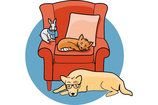 Tierarzt Hausbesuch mobil Berlin Hund Katze Heimtiere Dr. Pascal Klunder tierarzt senioren-tiere herbst haustiere zeit mobiler hausbesuch kleintiere berlin schöneberg pascal klunder