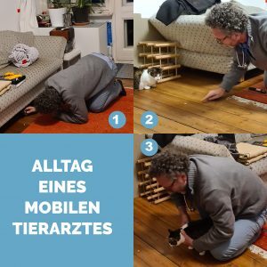 Tierarzt Hausbesuch mobil Berlin Hund Katze Heimtiere Dr. Pascal Klunder Tierarzt sucht Katze unter dem Sofa